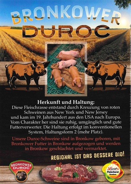 Duroc 2